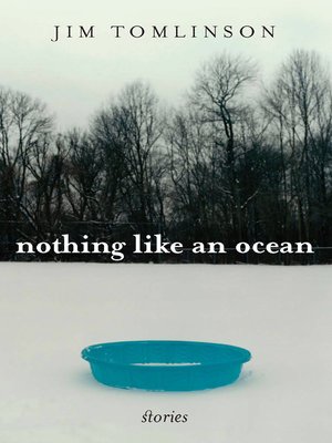 cover image of Nothing Like an Ocean